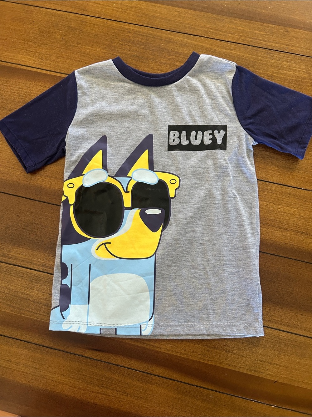 Bluey Graphic Short Sleeve Tee - Grey & Navy